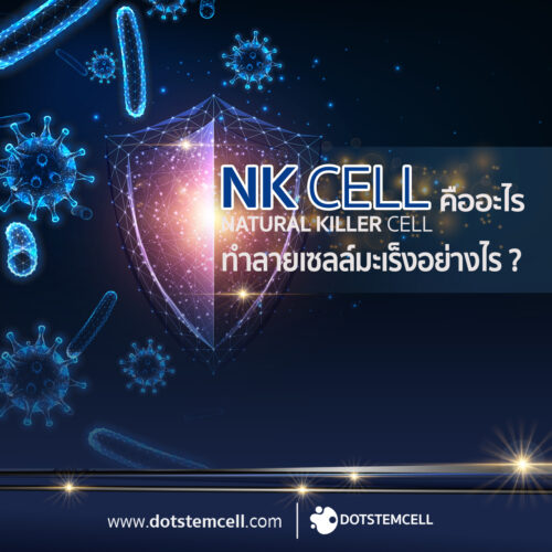 NK CELL คืออะไร? NK CELL คืออะไร?